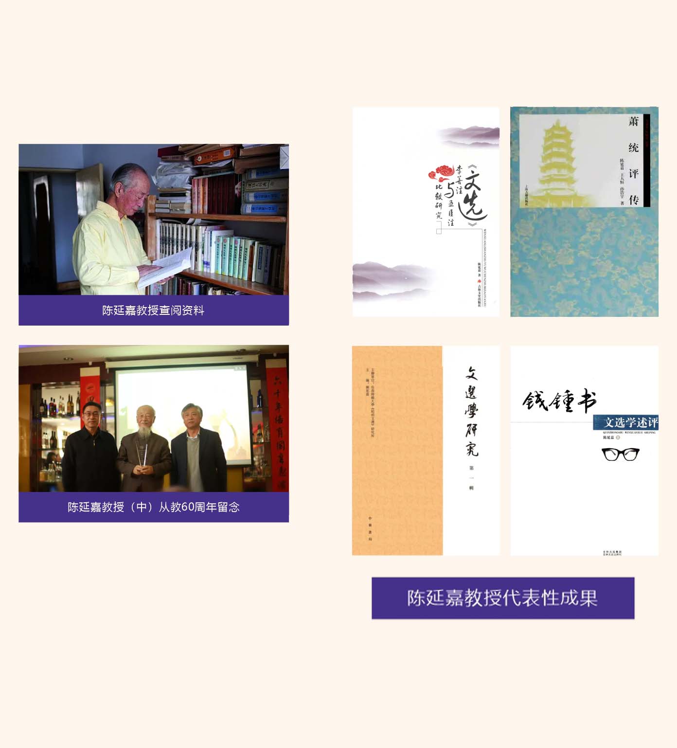 陈延嘉教授代表性成果